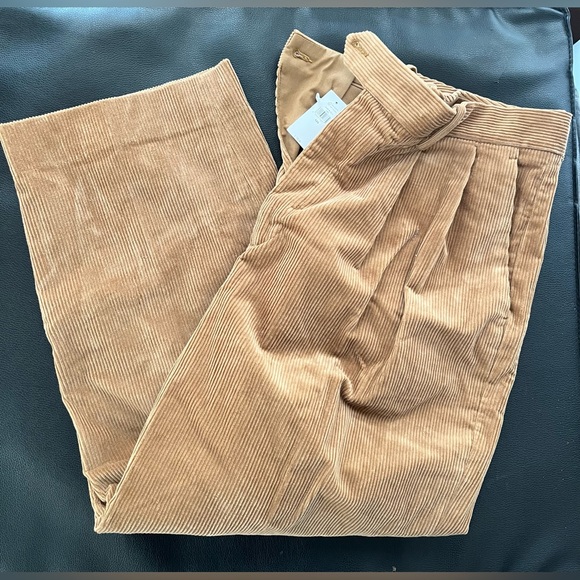Banana Republic RIVOLI PLEATED CORDUROY PANT - Vicuna Brown size 12s - Picture 5 of 8